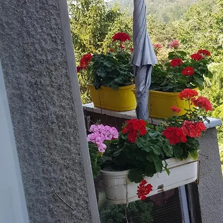 Appartement Nerabella